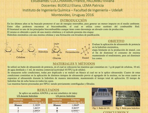 Evaluación del uso de ultrasonido en la producción de etanol