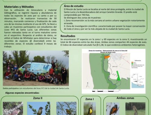 Relevamiento de aves en el área del Rincón de Santa Lucía