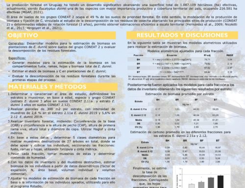 Ajuste de ecuaciones de estimación de biomasa y carbono y evaluación de la descomposición de residuos forestales sobre suelos del grupo CONEAT 2.