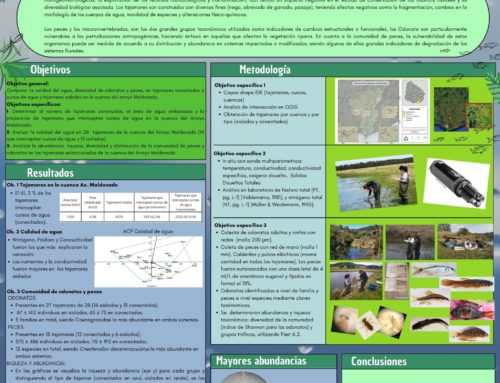 Efectos de la conectividad de los tajamares sobrelas comunidades de peces y macroinvertebradosen la cuenca del arroyo Maldonado.